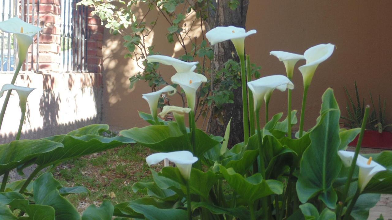 Casa Las Calas Πουέρτο Μαντρίν Εξωτερικό φωτογραφία